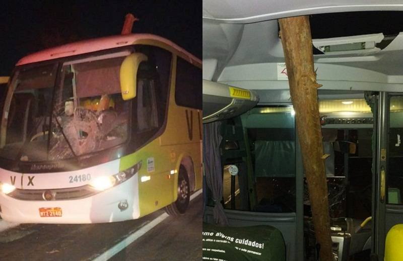Motorista fica ferido após tora de madeira cair em ônibus na BR-101 em Itabatã