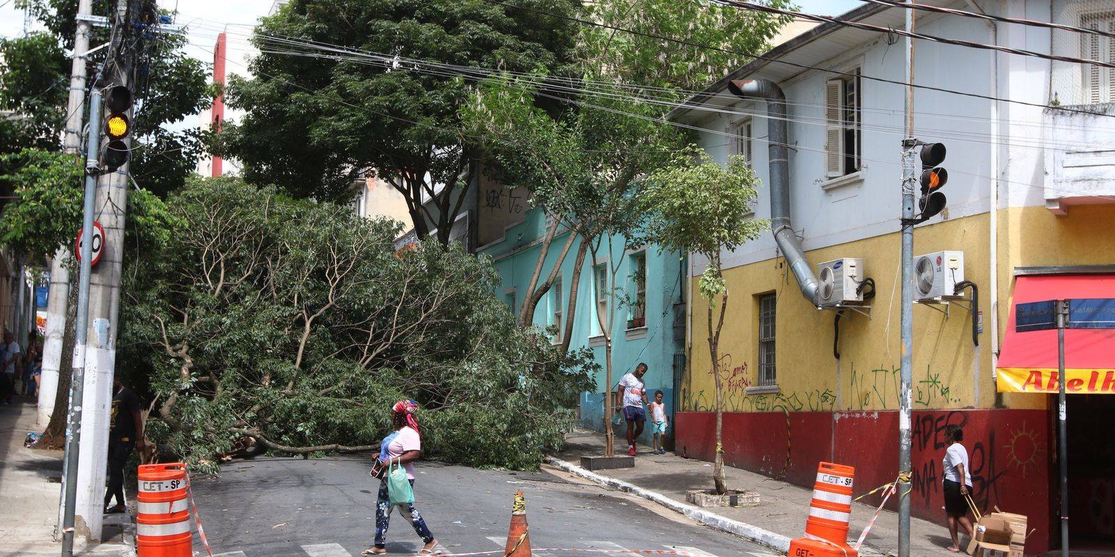 Homem morre após ser atingido por queda de árvore durante temporal