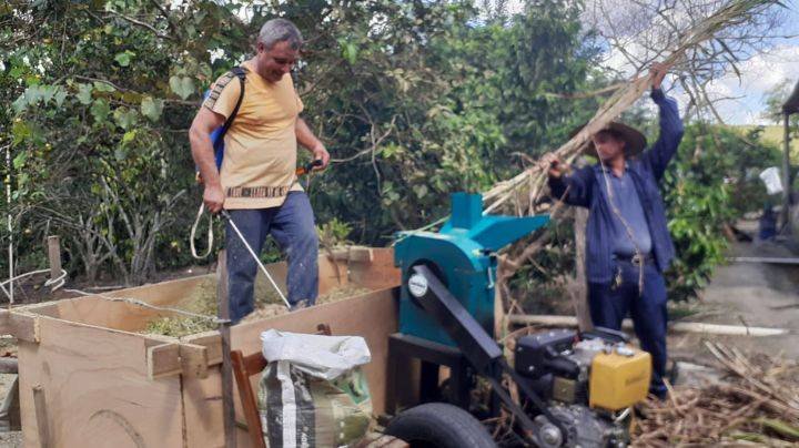 Secretaria de Agropecuária oferece serviços de maquinário para colheita de silagem da agricultura familiar em Mucuri