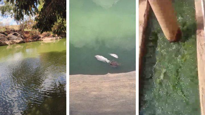 Alerta no Rio Itanhém: Autoridades investigam possível contaminação e mortandade de peixes