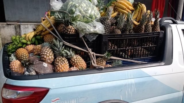 Programa de Aquisição de Alimentos reinicia em Mucuri contemplando famílias vulneráveis