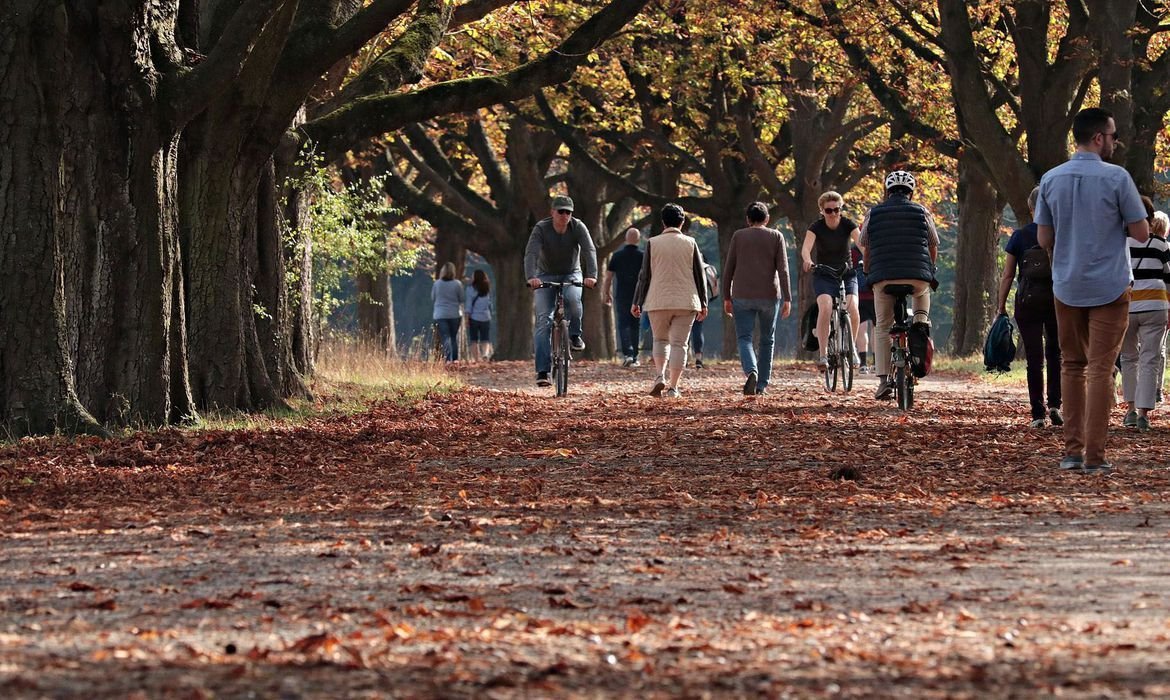 Outono 2025: saiba como será essa estação e a previsão do tempo