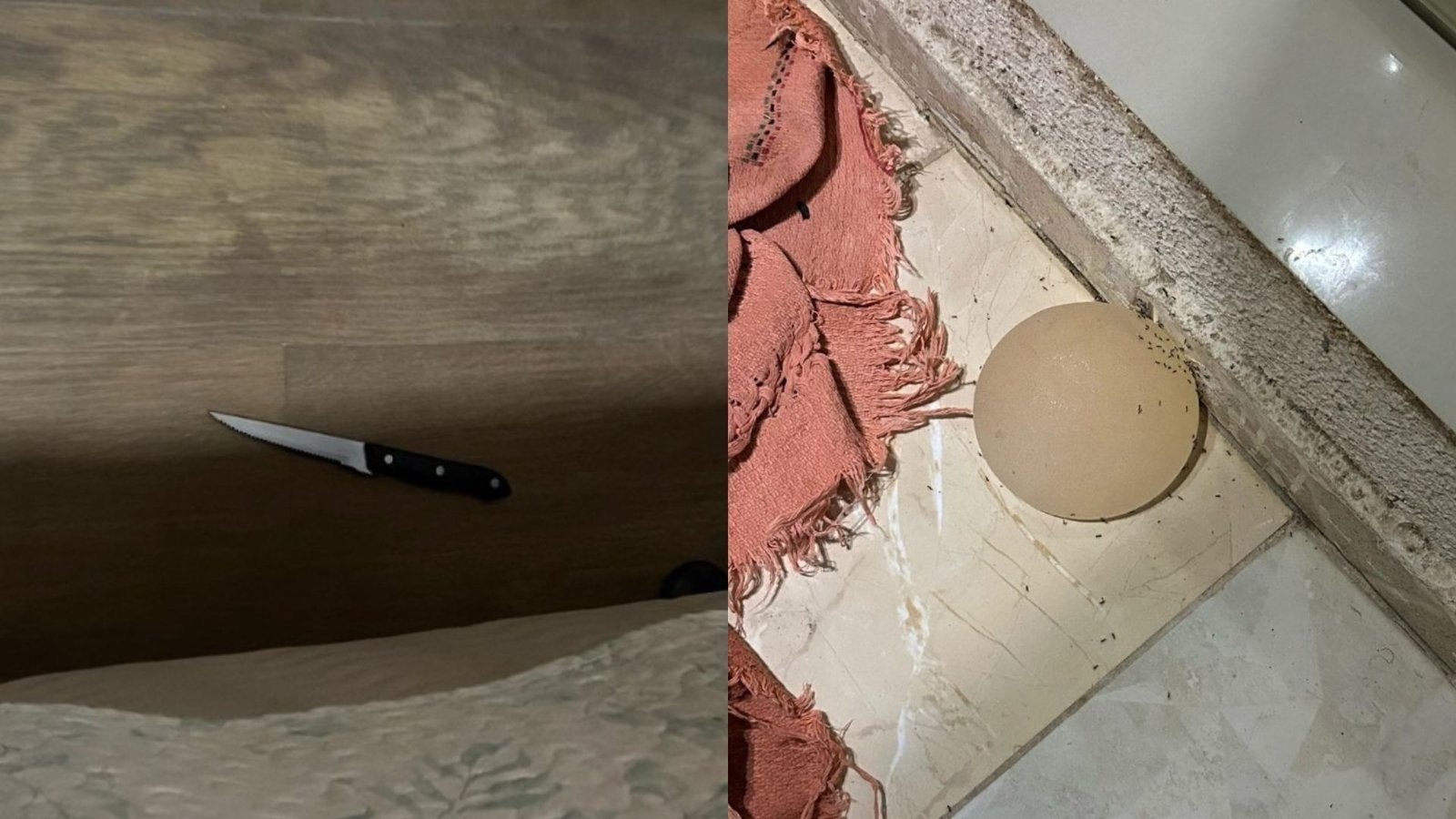 Homem arranca prótese de silicone da esposa e é preso no DF