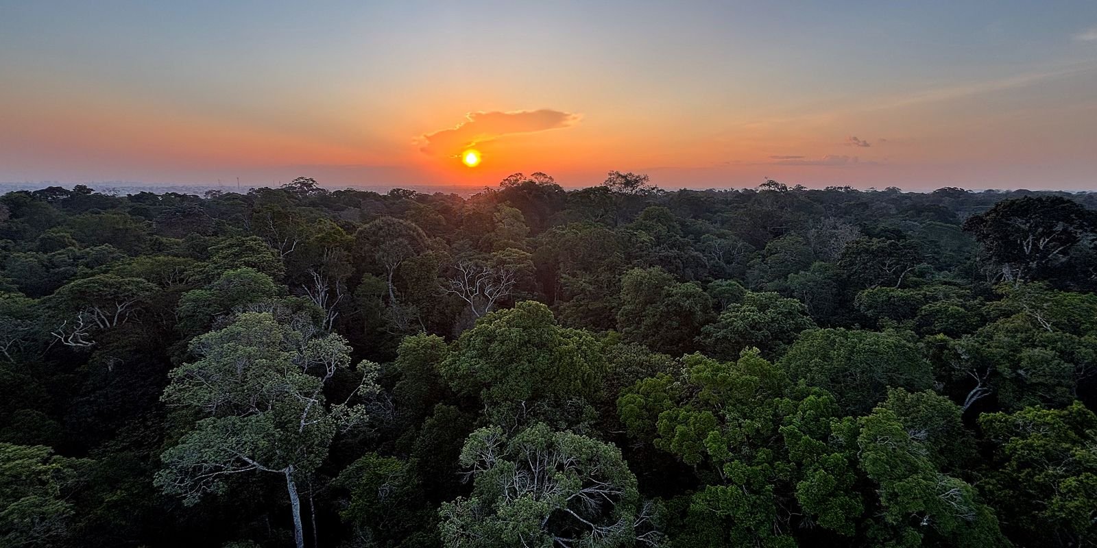 Começa hoje em Brasília a 5ª Conferência Nacional do Meio Ambiente